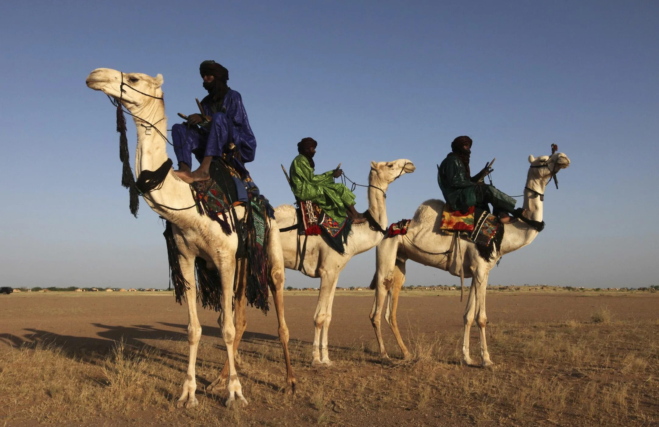 Занятия людей в пустыне. Туареги мали. Туареги воины. Туарег на верблюде. Занятия туарегов.