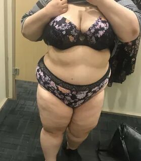 Eng katta mushuk fotosuratlari va videolari