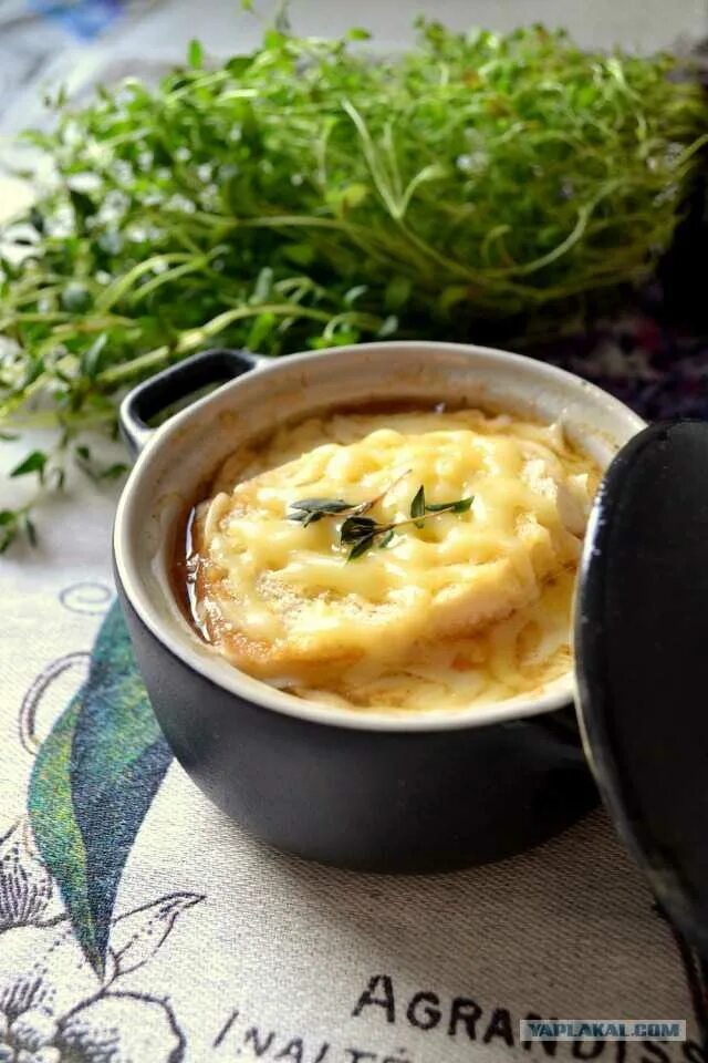 Луковый суп шалот. Френч онион суп. Французский луковый суп. Рецепты лукового со. Лук для лукового супа.