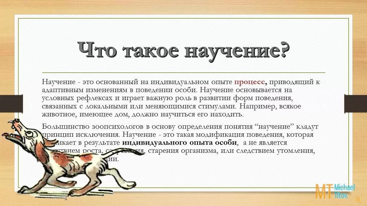 Научение поведению это. Научение. Формы научения животных. Виды научения у животных. Научение у животных и человека.