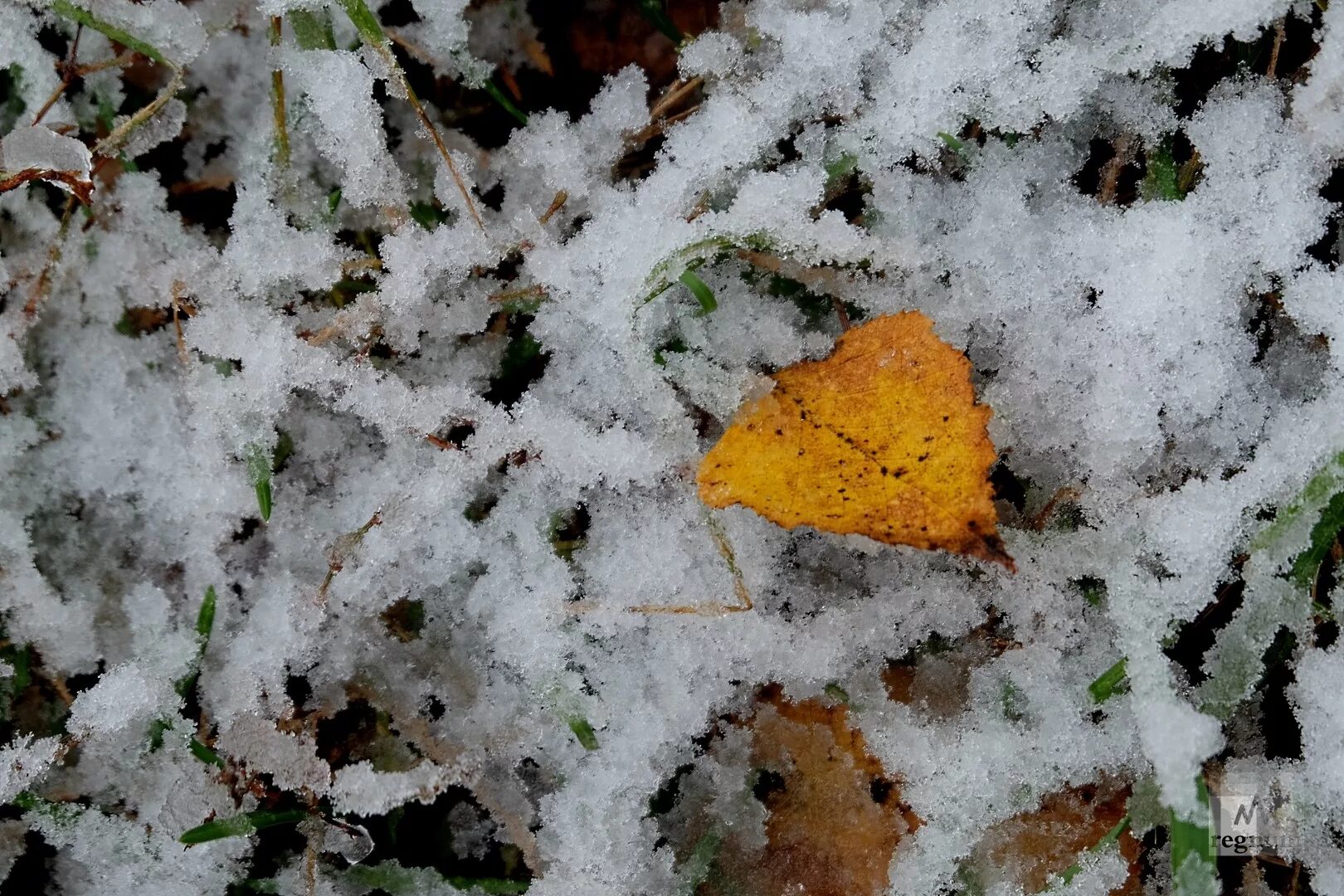 Снегопад в городе. Выпадает 1 снег. Снег. Первый снег. Выпадает 1 снег.