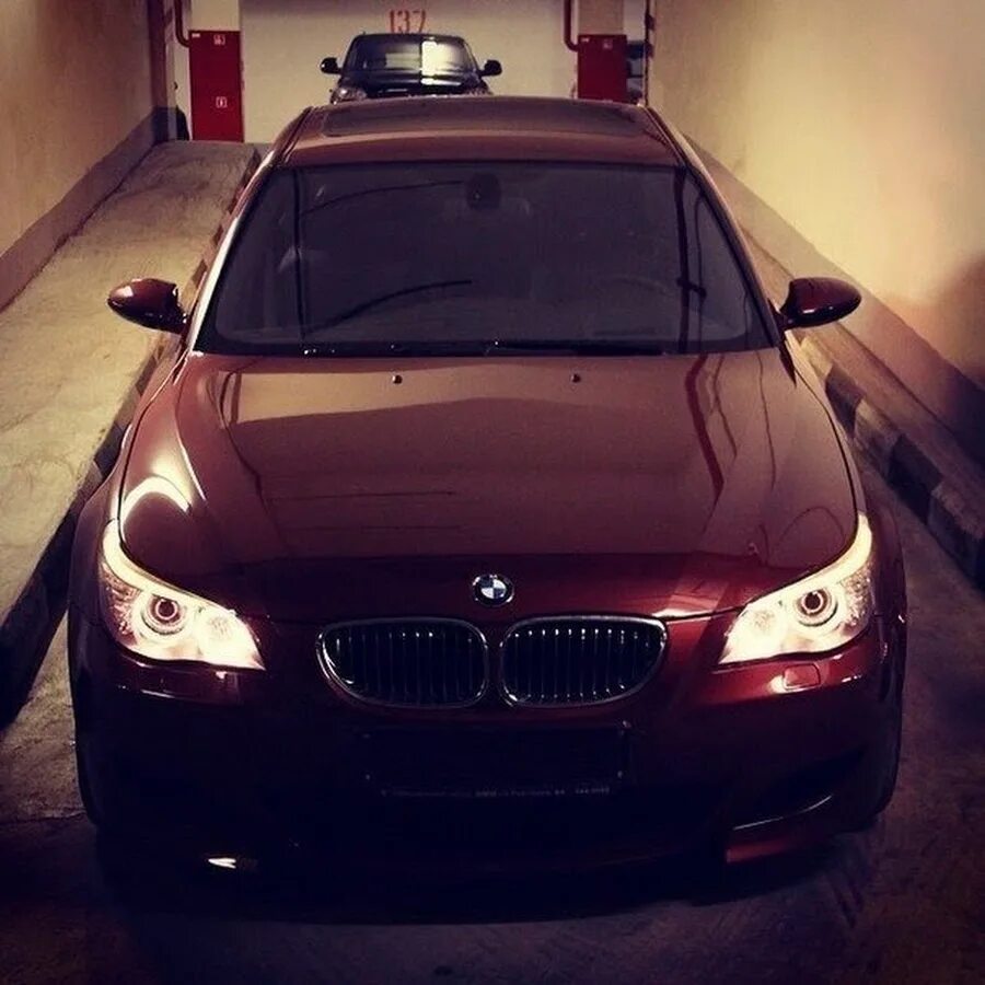 BMW m5 e60. БМВ е60 Давидыча. BMW e60 Давидыча. BMW m5 e60 тень.