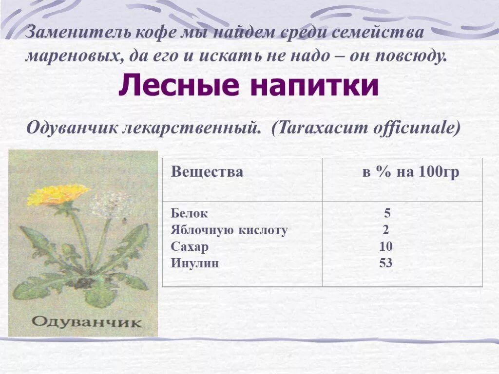 Состав одуванчика. Химический состав одуванчика. Строение одуванчика. Одуванчик химический