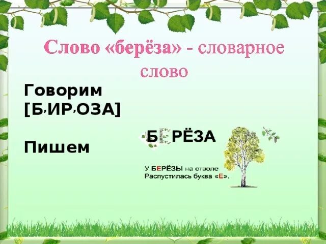 Словорное слово берёза. Проект словарное слово береза. Проект о слове береза. Березка словарное слово. Березка однокоренные