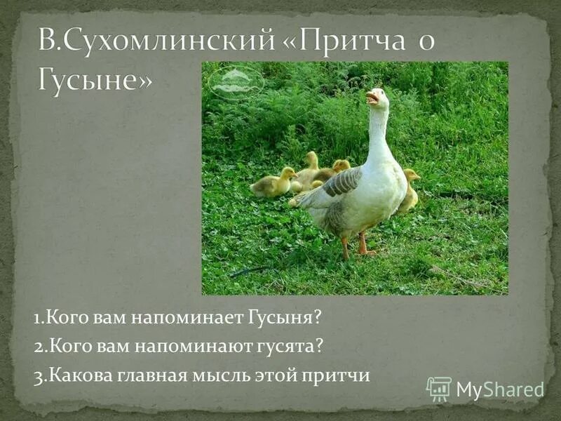 Сказка о гусыне Сухомлинского. Рисунок к сказке Сухомлинского гусыня.