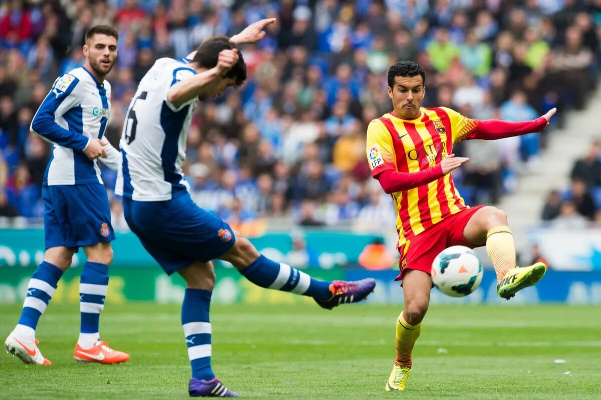 Футбольные клубы каталонии. Футбольные клубы каталонии. Каталония футбол сборная. Сборная каталонии по футболу. Каталонские клубы.