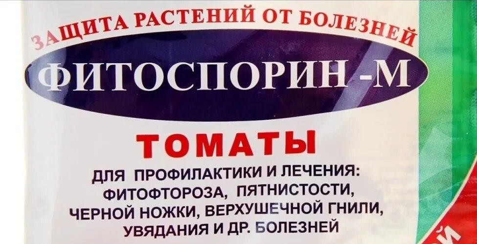 Фитоспорин для рассады томатов применение. Фитоспорин для томатов. Фитоспорин от фитофторы. Опрыскивание томатов фитоспорином. Поливать помидоры фитоспорином.