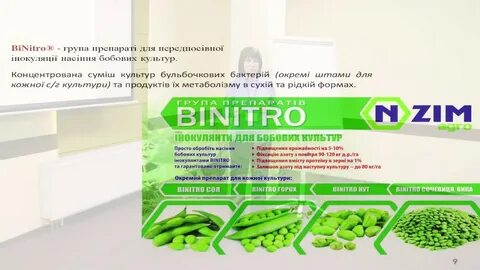 Фиксируют бактерии