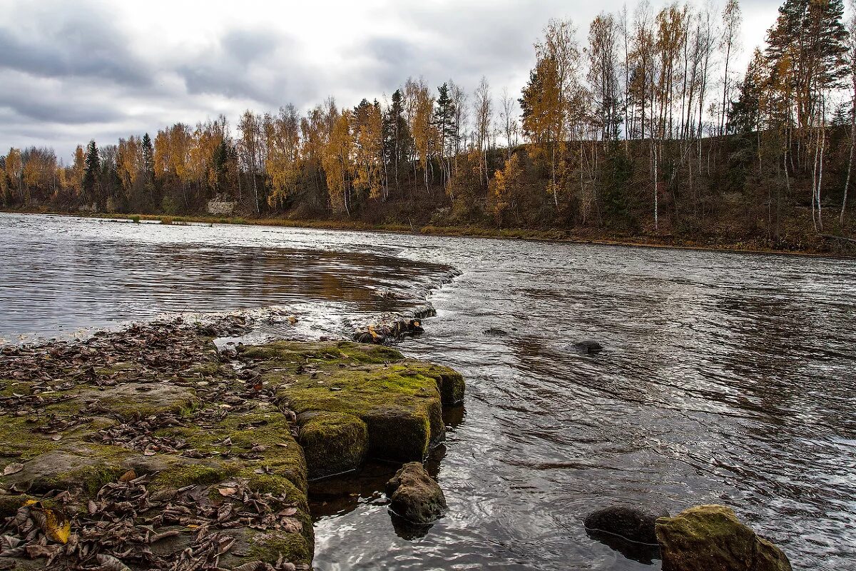 Великий порог. Река Мста Боровичи. Река Мста Новгородская область. Река Маста Новгородская область. Боровичские пороги на реке Мста.