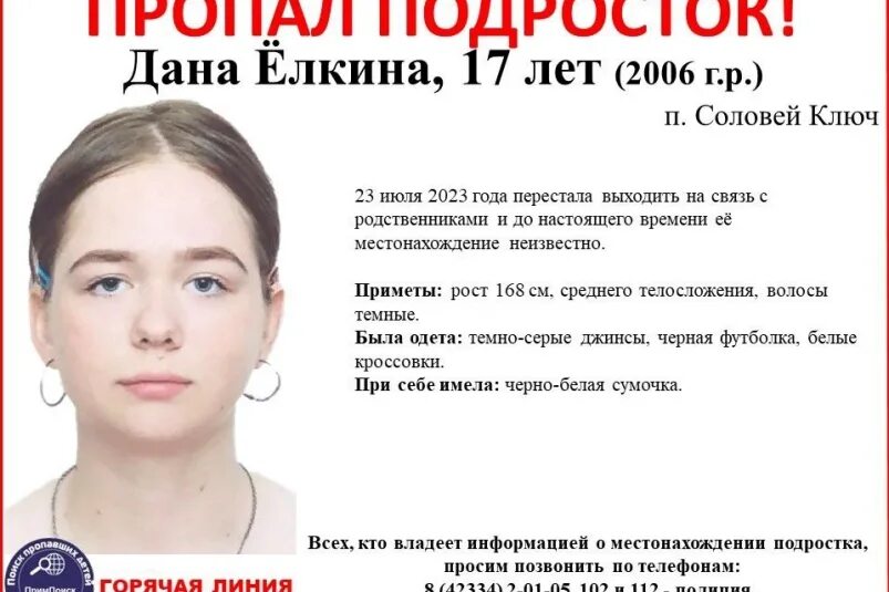 Волонтеры телеграм. Пропала 19 летняя девушка. Пропал 19-летний. 12 Летняя девочка в Подмосковье пропала.