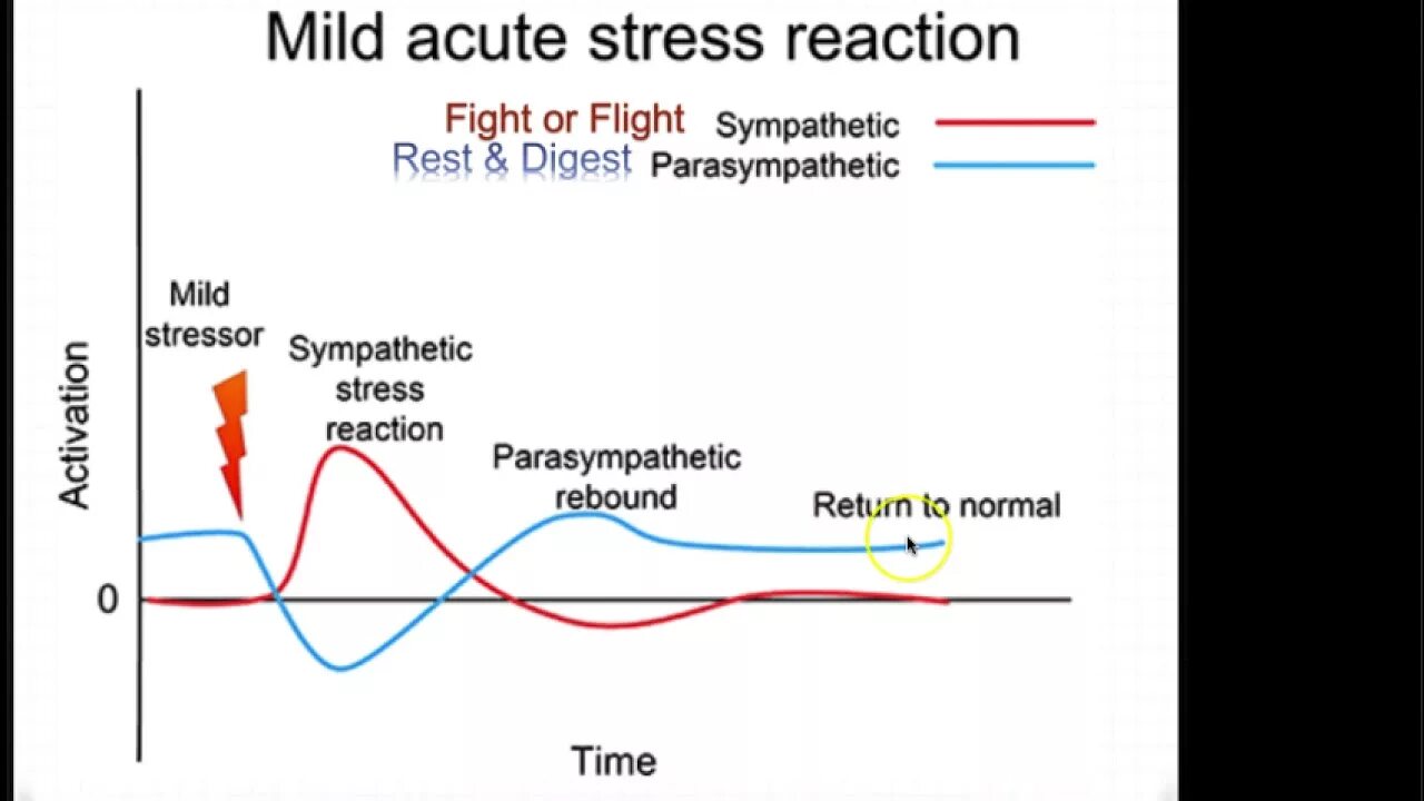 Response splitting. Stress response. acute stress reaction. what is stress response. in response.