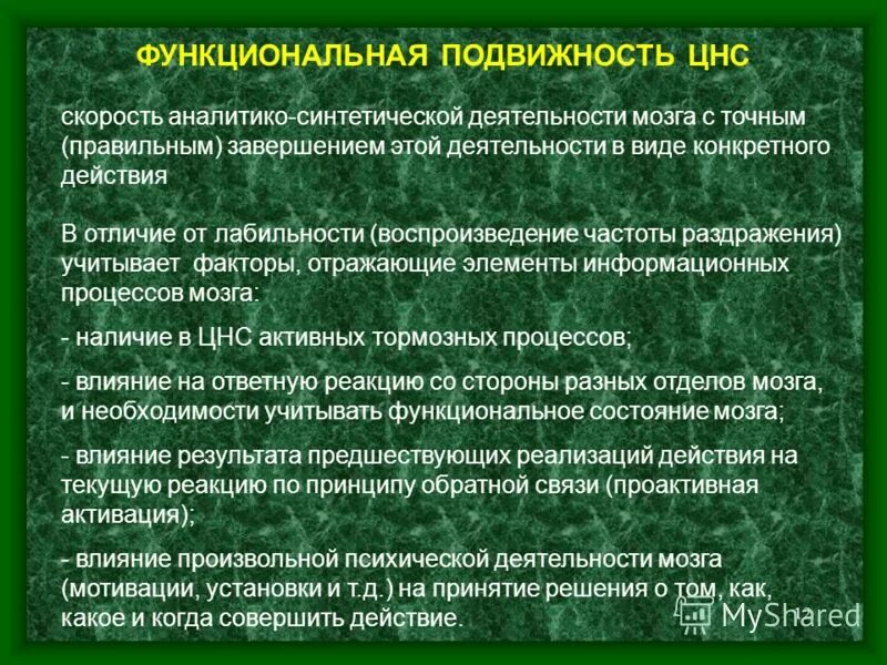 Реал анатоми. Уровни организации цнс. Значение цнс. Цнс в наличии. Цнс в наличии.
