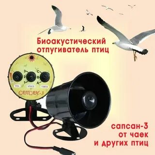 Крик орла для отпугивания