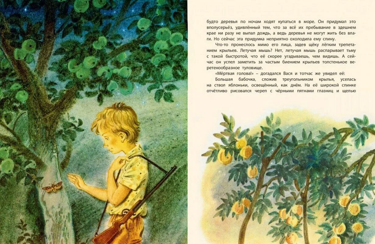 Нагибин старая черепаха. Книга старая черепаха нагибин. ю.м. нагибин. &quot;старая черепаха&quot;.. нагибин черепаха.