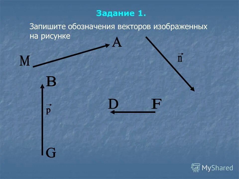 Укажите векторные величины