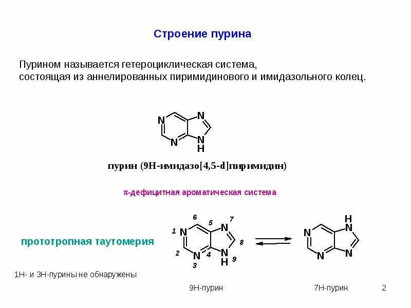 Производные пурина мочевая кислота. Пуриновый соединения организма. Таблица содержания пуринов в продуктах при подагре. Пиримидин структурная формула. Утилизация мочевой кислоты в организме.