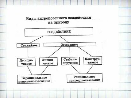 Антропогенные воздействия растений