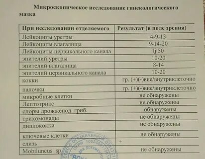 Как узнать результат мазка на ковид