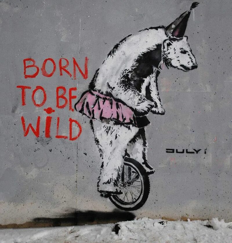 Born to be Wild. Граффити со смыслом. Бэнкси медведь. Born to be Wild надпись. Born to think