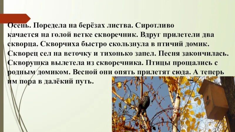 Птиц не было слышно потому что. Осень поредела на березах листва. Осень поредела на березах листва сиротливо. Осень.поредела на берёзах листва.сиротливо качается. Осень поредела на березах.