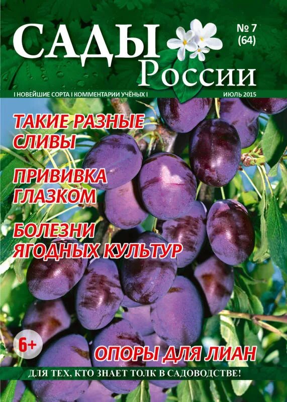 Сайт сады россии челябинск каталог
