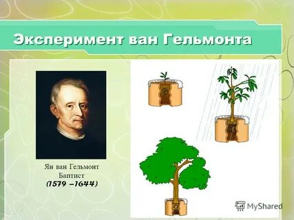 Эксперимент ван