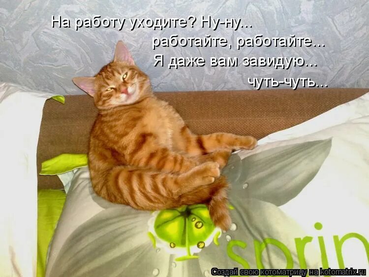 Даже завидую. Повезло с мужем. Завидуй молча. Люди мне завидуют. Даже завидую.