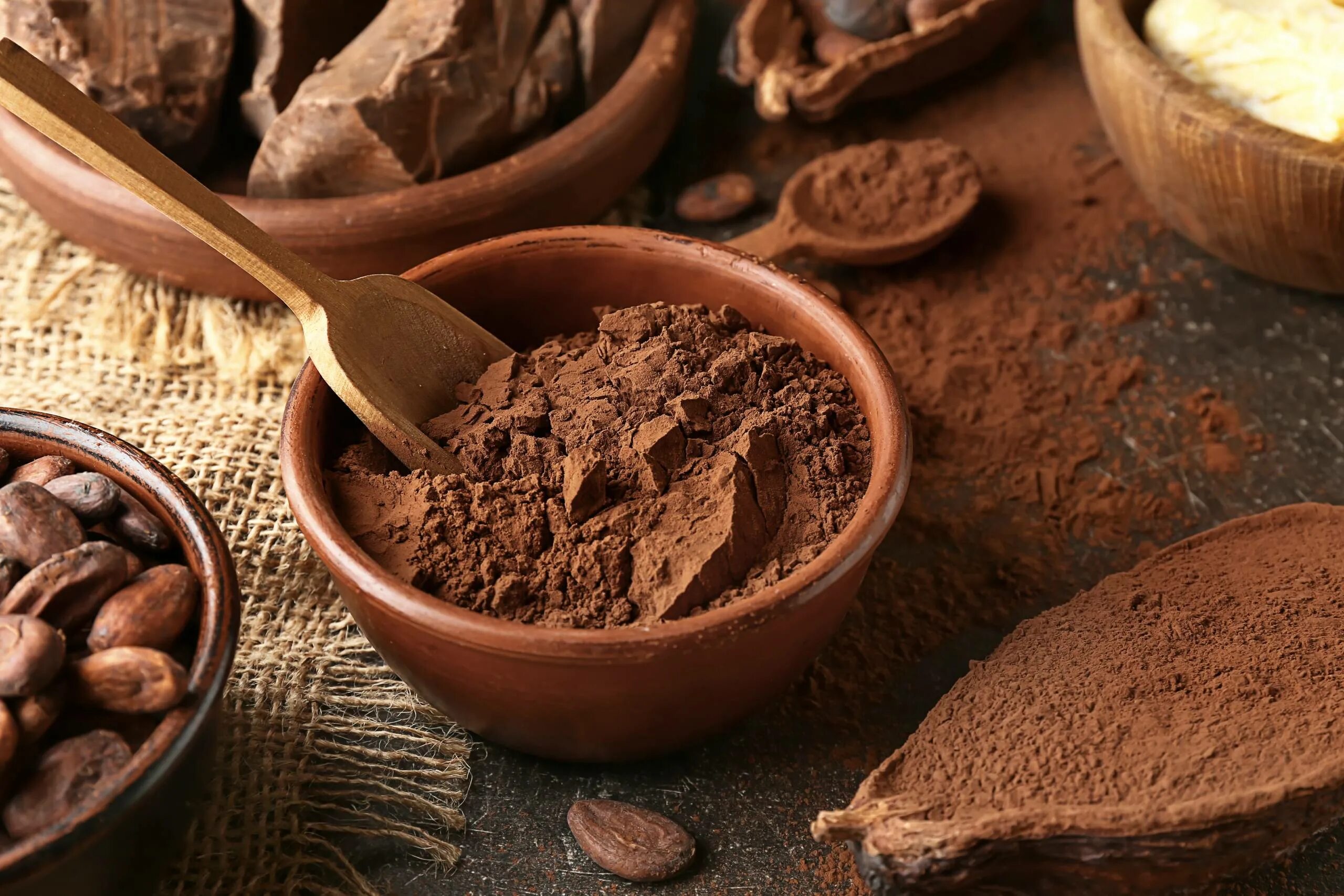 Какое какао лучше выбрать. Шоколад и какао порошок. Какао порошок алкализованный. Шоколадный порошок какао. Шоколад в порошке.