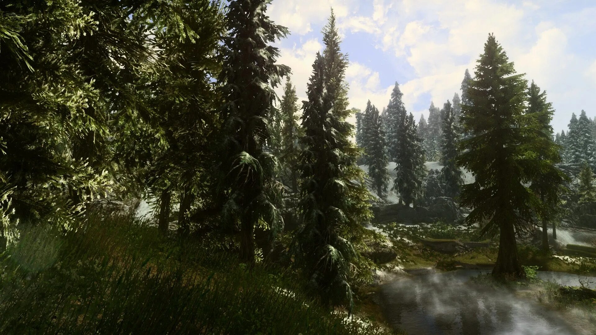 Skyrim se flora. Леса скайрима. скайрим ktc. skyrim special edition. enb ландшафт fix.