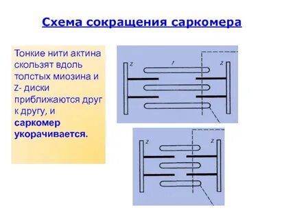 Схема уменьшения