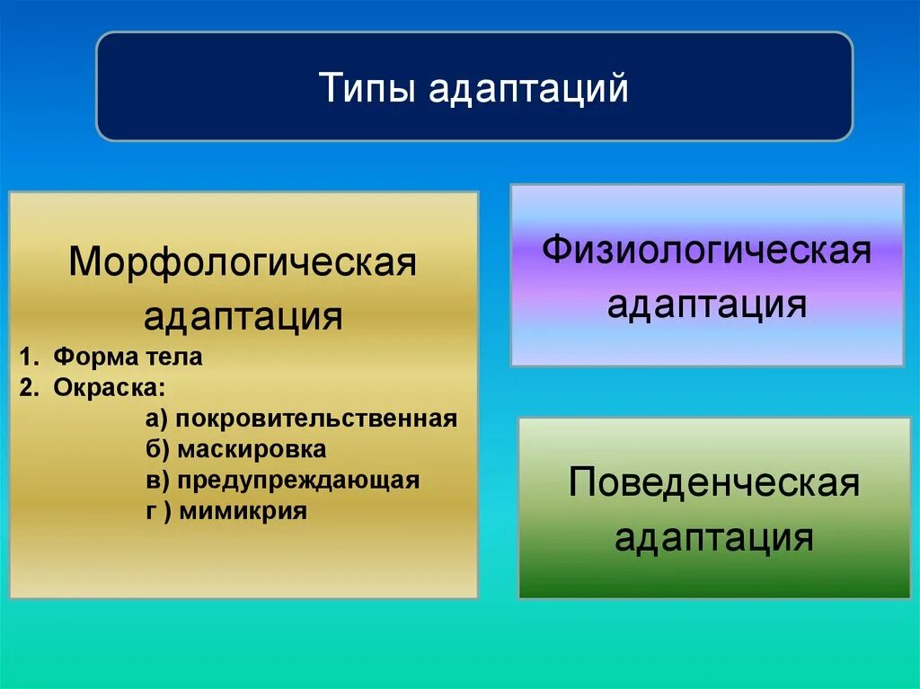 Разделение адаптации. Морфологические адаптации. Морфологические физиологические и поведенческие адаптации. Формы морфологической адаптации. Типы морфологических адаптаций.