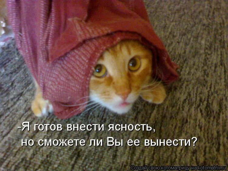 Master merge request memes. Мемы про правки. Готов внести. Готов внести. Готов внести.