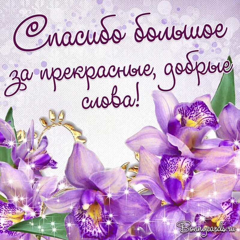 Света очень приятно