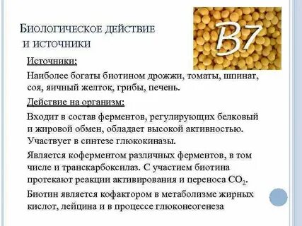Регулирующий белок