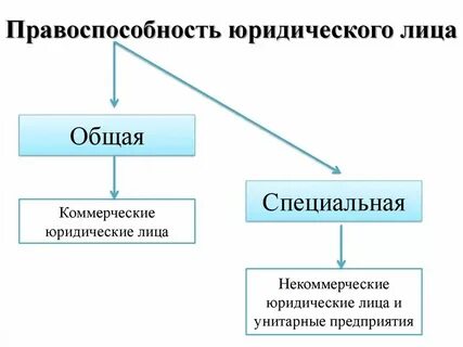 Общая правоспособность это