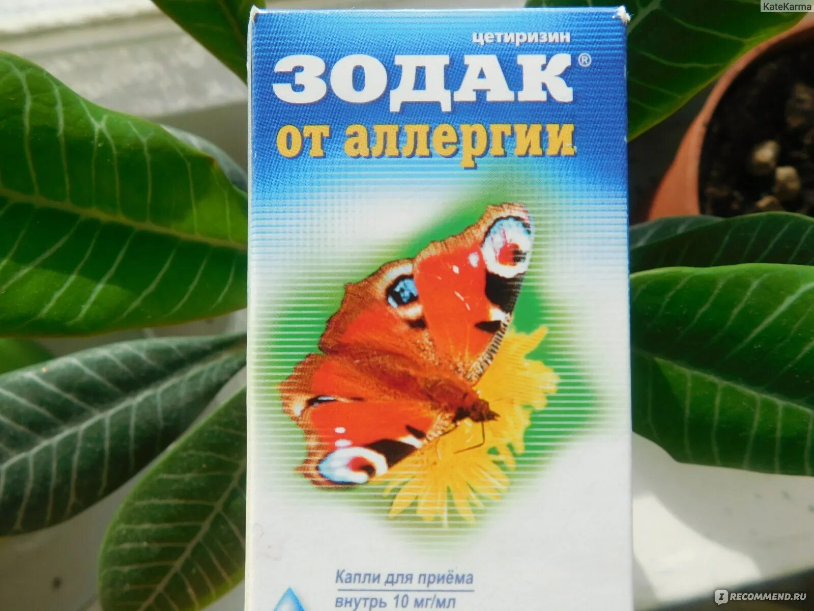 Как открыть зодак. Зодак. зодак детский. зодак детский капли. зодак чье производство.