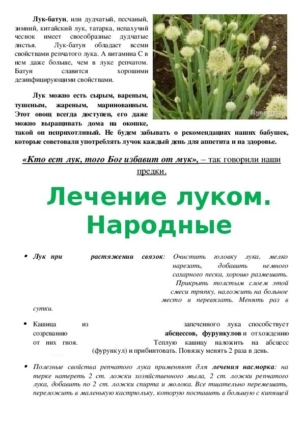 Луки значения слова