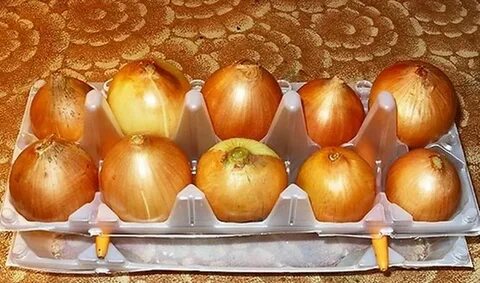 Зеленый лук в яичной