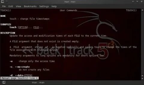 Man linux
