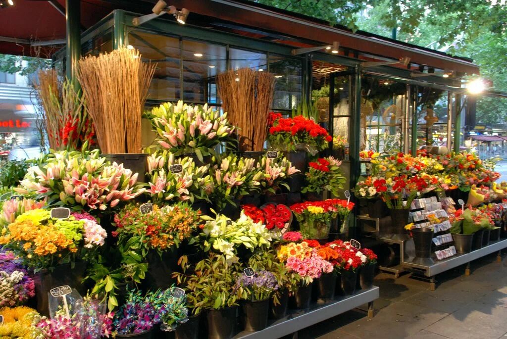 My flower shop. Цветочный киоск. Цветочный магазин в Америке. Необычные цветочные магазины. Павильон с цветами.