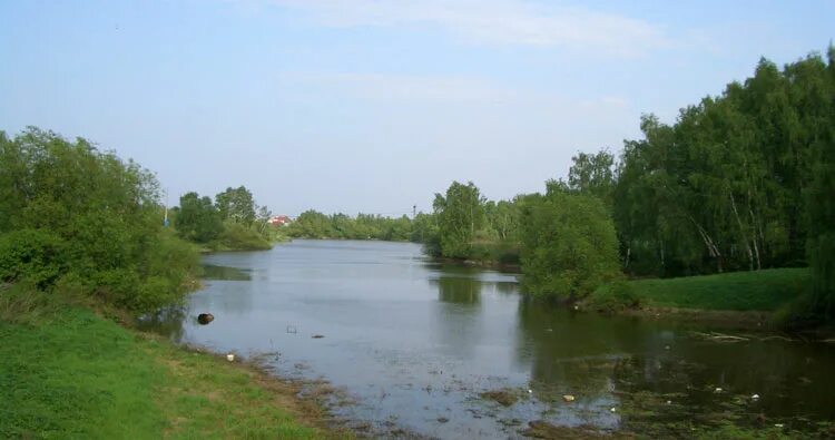 Нижний ащеринский пруд. Пруд развилка. Посёлок развилка московской области школа. Нижний ащеринский пруд. Пруд поселок развилка.