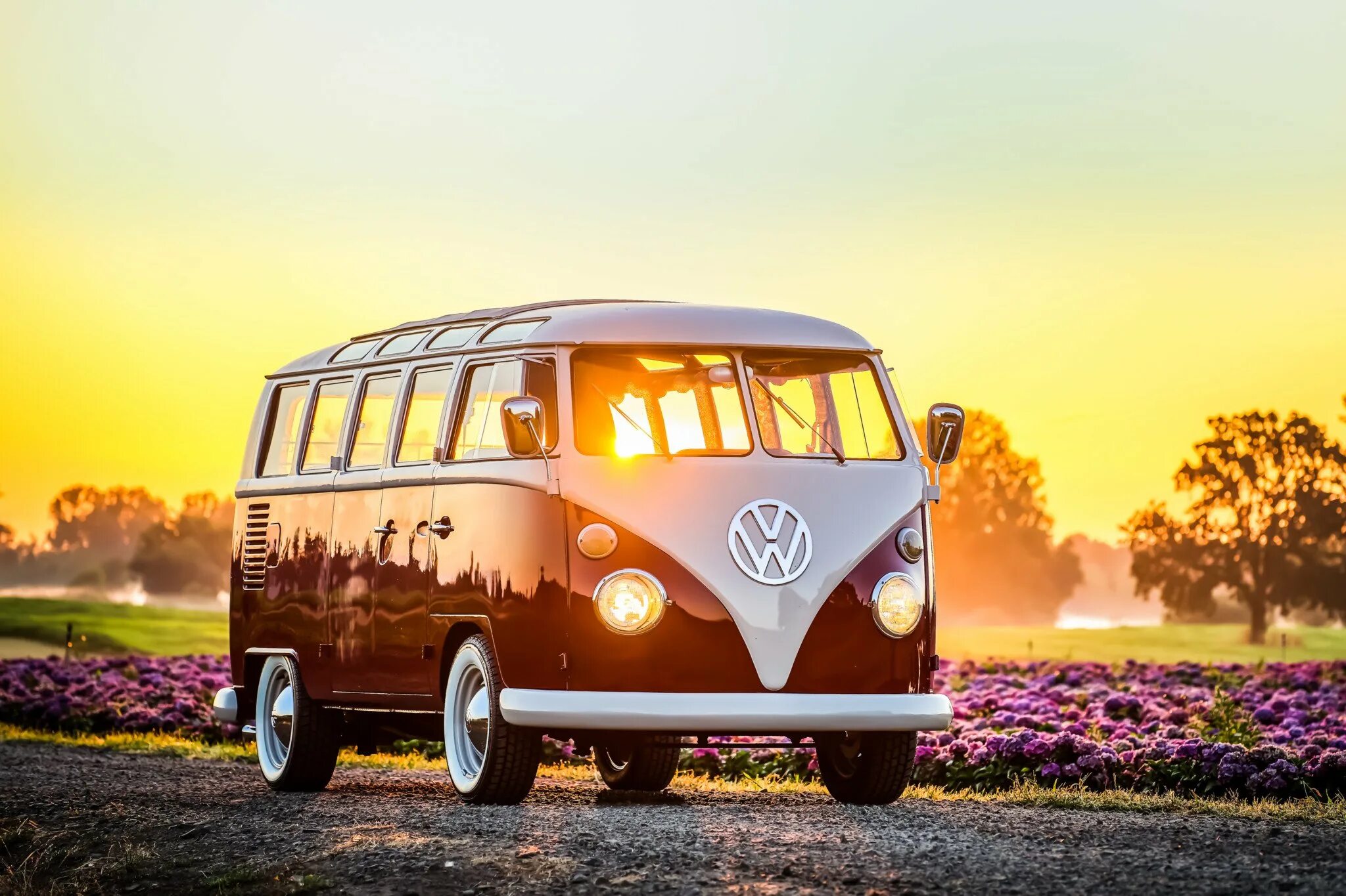 Volkswagen t1. Фольксваген Bus. Volkswagen t1 1966. Фольксваген автобус 2. Volkswagen автобус