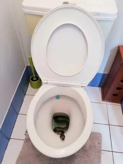 Тувалета камера