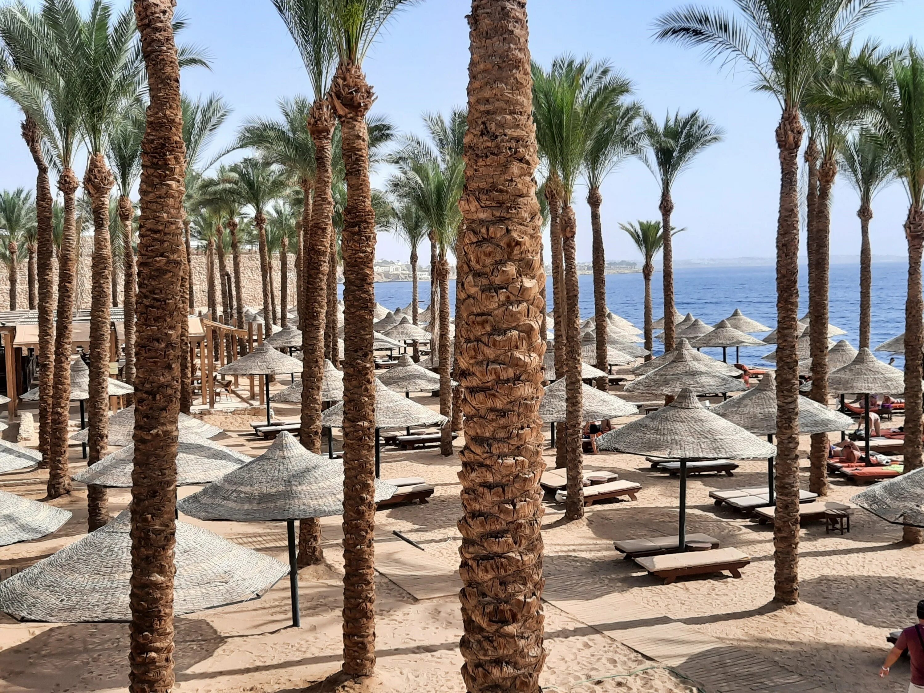 The grand hotel sharm el sheikh. Grand Hotel Sharm Шарм-Эль-Шейх. The Grand Hotel Sharm 5*. Гранд отель Шарм-Эль-Шейх 5 звезд. The Grand Hotel Sharm el Sheikh 5 Египет.