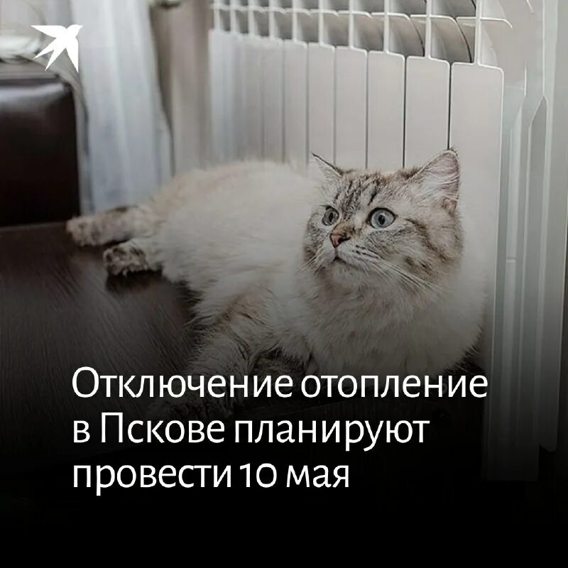 в каких городах отключили отопление. отключили тепло. в каких городах отключили отопление. в феодосии стартовал отопительный сезон 2021. временное отключение отопления.