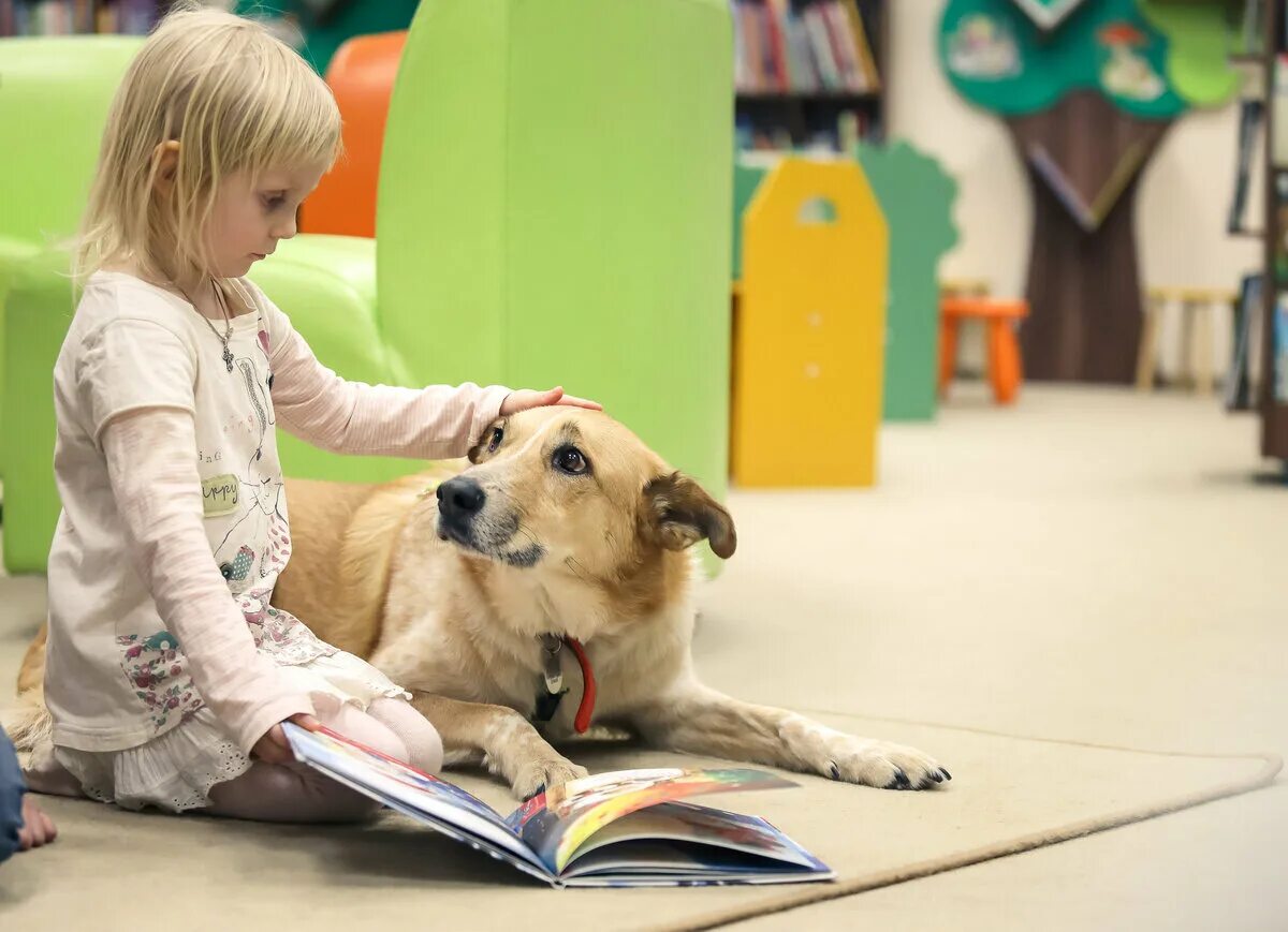 Чтение с собакой. Читальная собака. Книжные собаки. Читальные собаки в Финляндии. Дети читают собаке