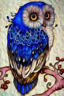 Рисунок красивой совы
