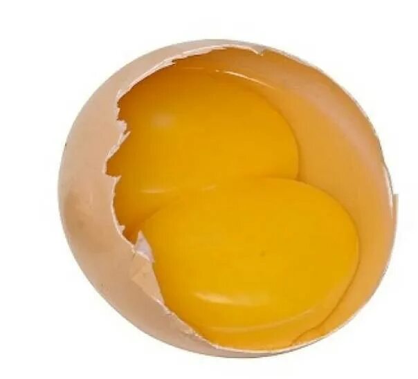 Двойной желток в яйце. Двойной желток в яйце. Яйцо двухжелтковое. Многожелтковые яйца. Почему в яйце два желтка.