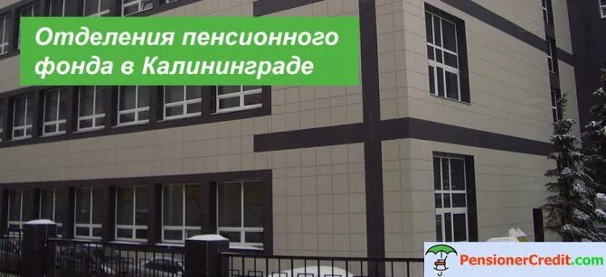 Фсс калининград. Пенсионный фонд калининград сосновая. Пенсионный фонд калининград на сосновой телефон. Калининград ул энгельса. Пенсионный фонд калининград сосновая.