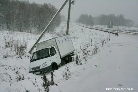 Газель хакасия